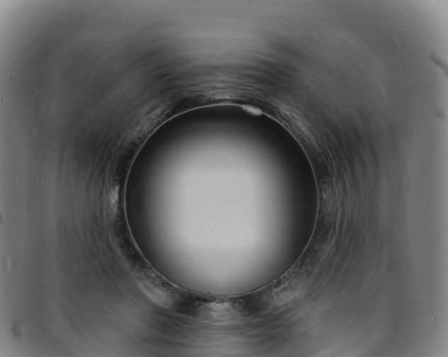 X0000096390406200801311325