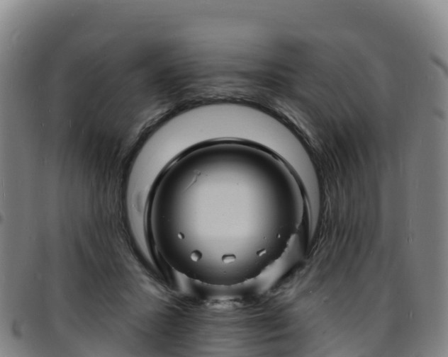 X0000096390407200801311325