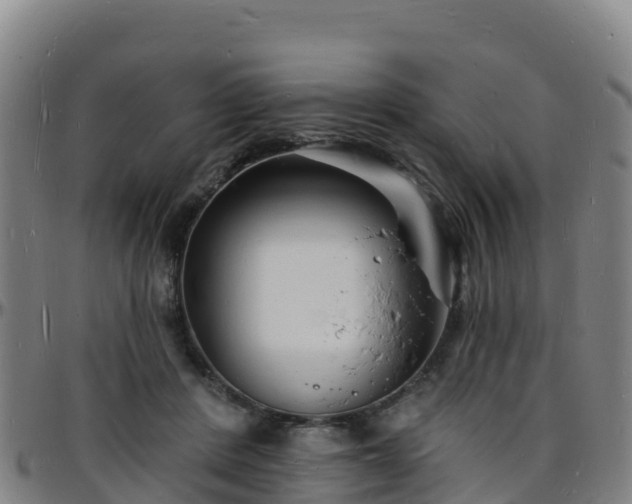 X0000096390408200801311325