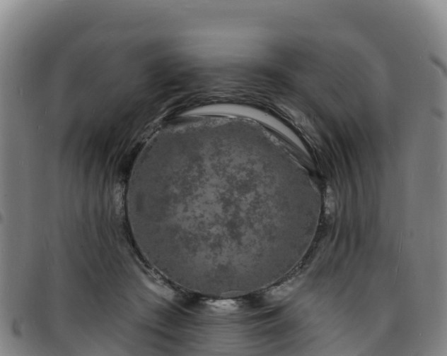 X0000096390409200801311325