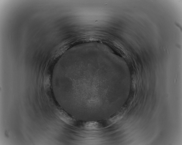 X0000096390410200801311325