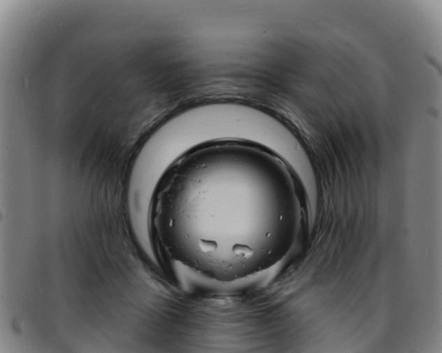 X0000096390411200801311325