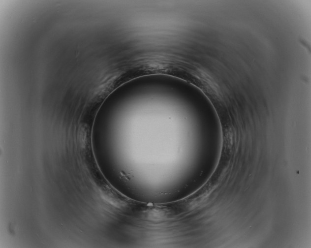 X0000096390412200801311325