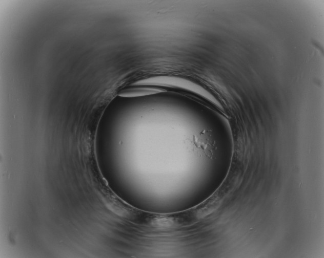 X0000096390413200801311325