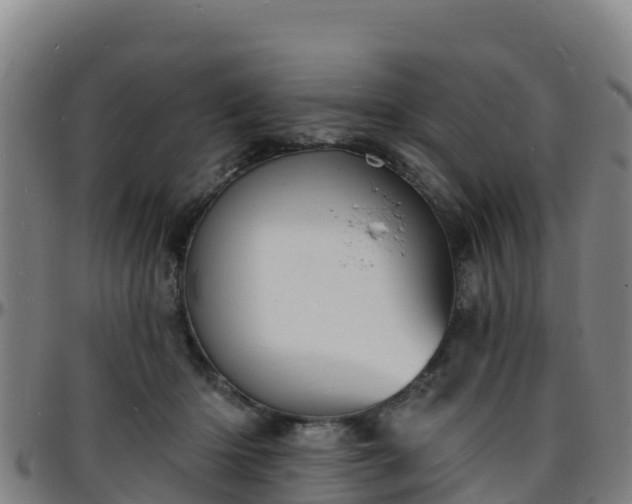 X0000096390414200801311325