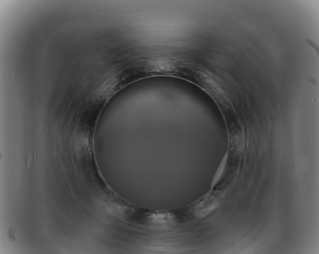 X0000096390415200801311325