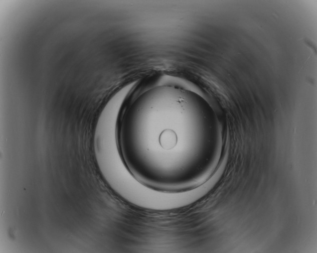 X0000096390417200801311325
