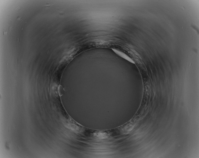 X0000096390419200801311325