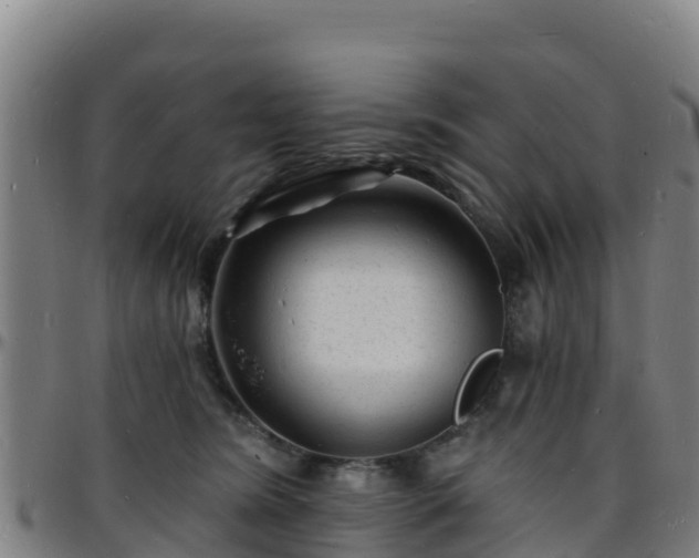 X0000096390420200801311325