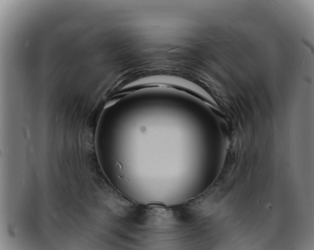 X0000096390421200801311325