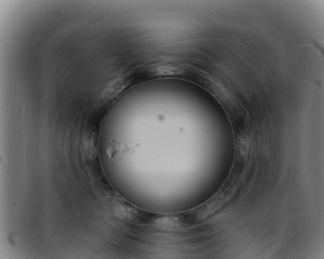X0000096390422200801311325