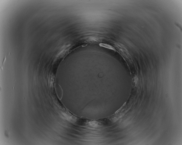 X0000096390423200801311325