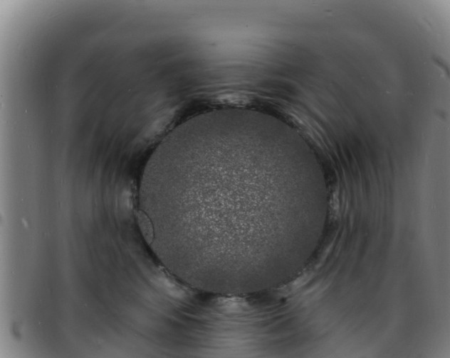 X0000096390424200801311325
