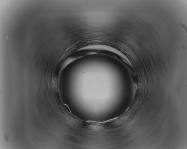 X0000096390425200801311325