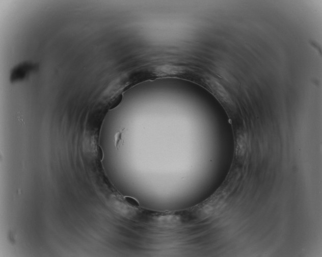 X0000096390426200801311325