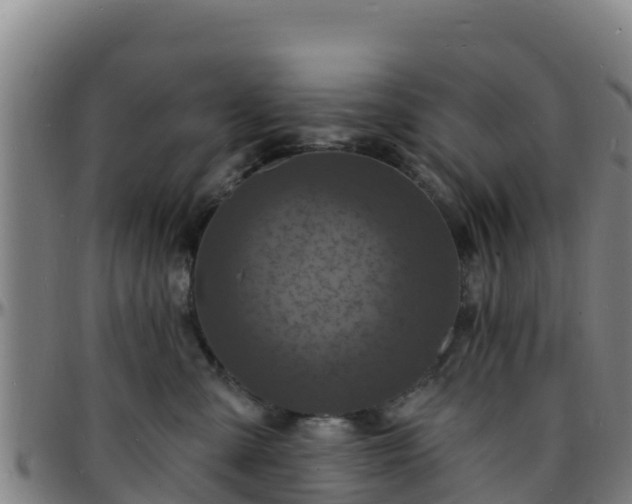 X0000096390427200801311325