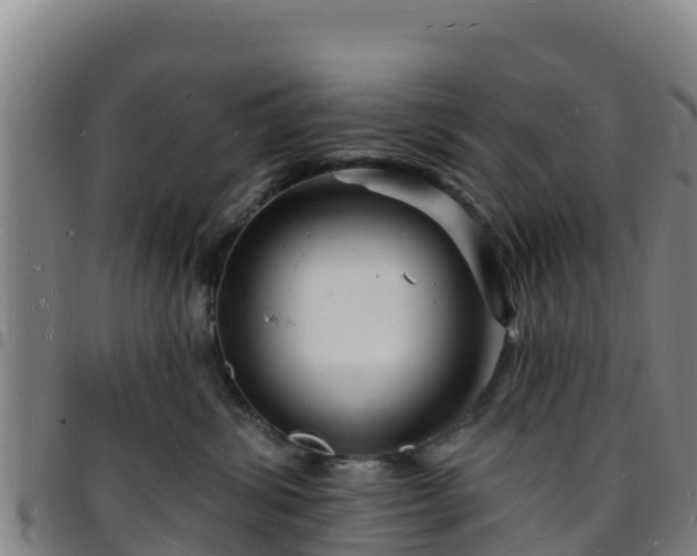 X0000096390428200801311325