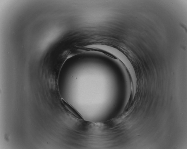 X0000096390429200801311325