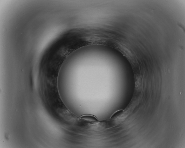 X0000096390430200801311325