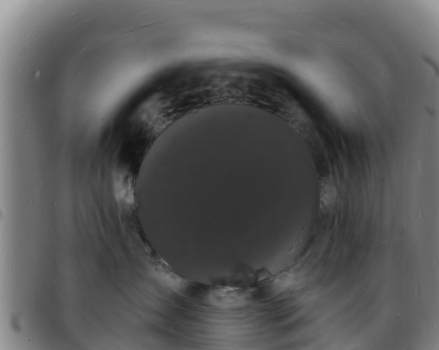 X0000096390431200801311325