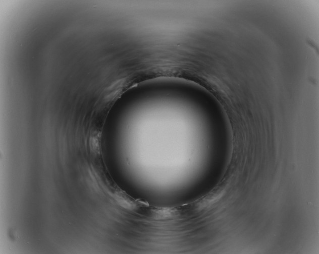 X0000096390432200801311325
