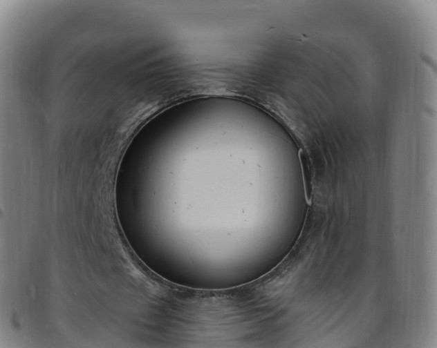 X0000096390433200801311324