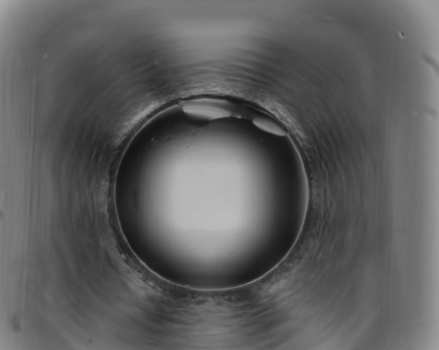 X0000096390434200801311324
