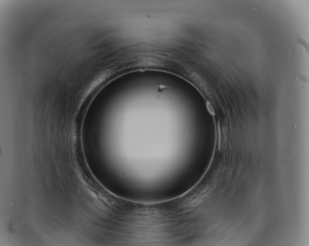 X0000096390435200801311324