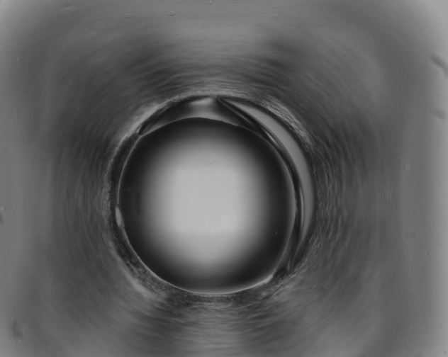 X0000096390436200801311324