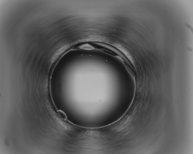X0000096390437200801311324