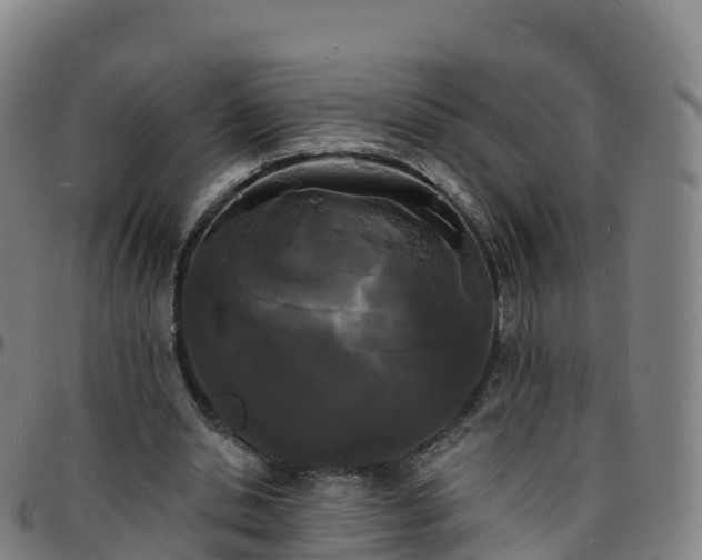 X0000096390438200801311324