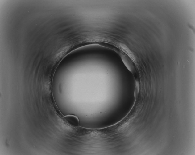 X0000096390441200801311324