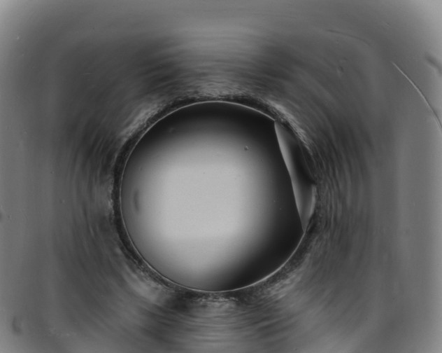 X0000096390443200801311324