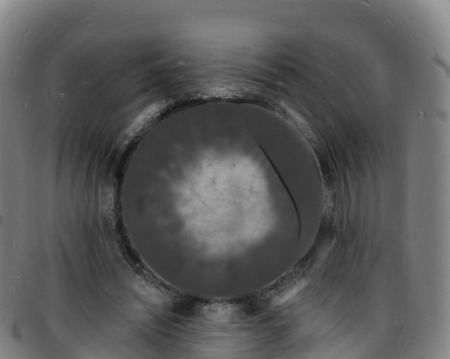 X0000096390444200801311324