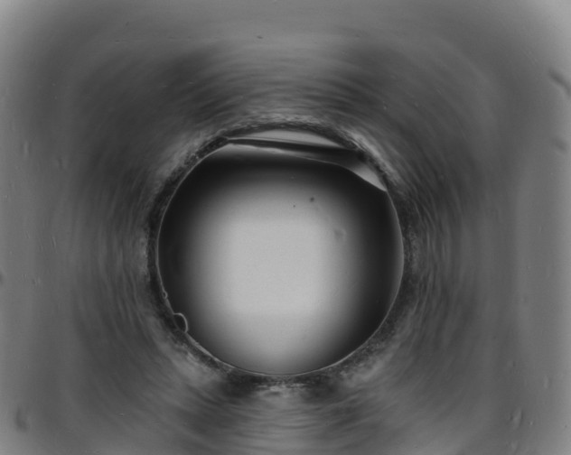 X0000096390447200801311324