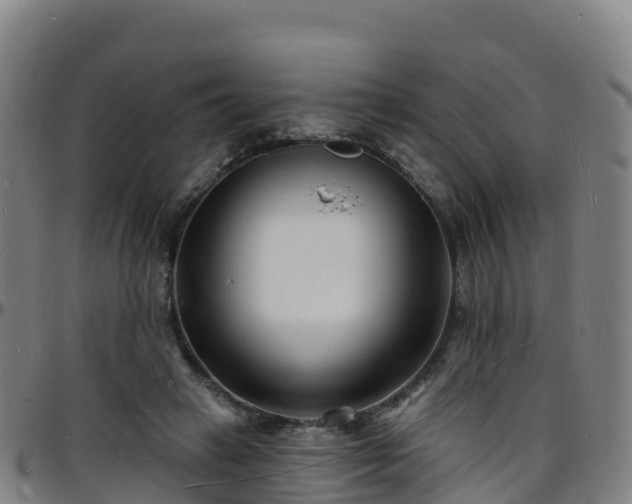 X0000096390449200801311324
