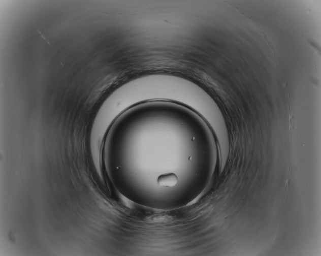 X0000096390452200801311324