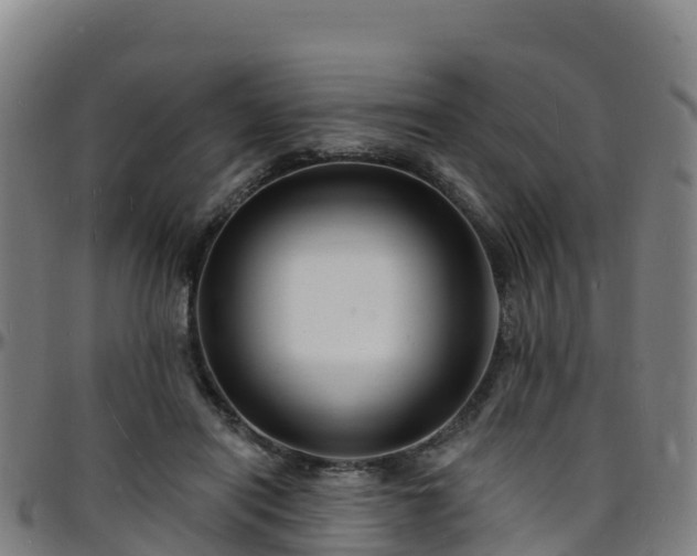 X0000096390454200801311324