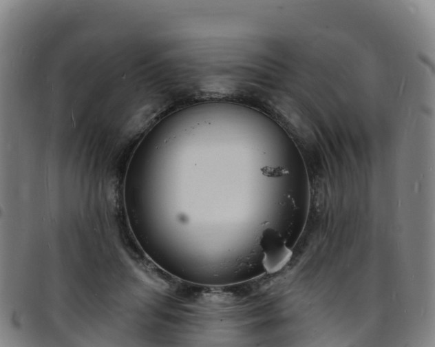 X0000096390455200801311325