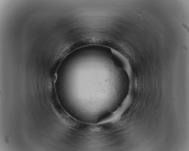 X0000096390456200801311325