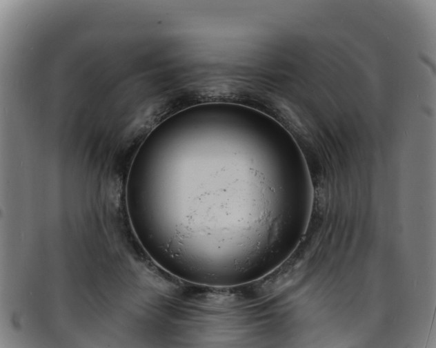 X0000096390458200801311325