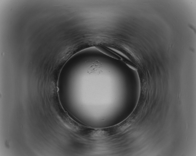 X0000096390459200801311325