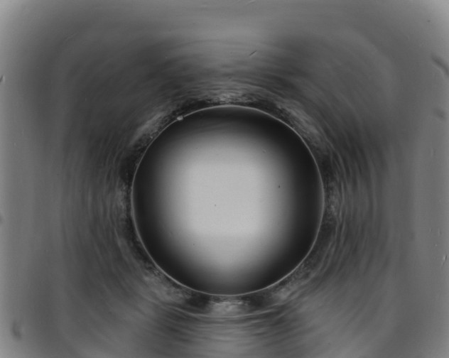 X0000096390461200801311325