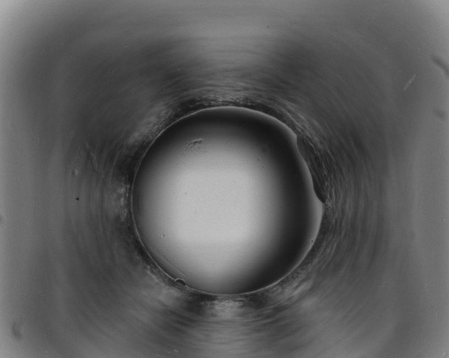 X0000096390462200801311325