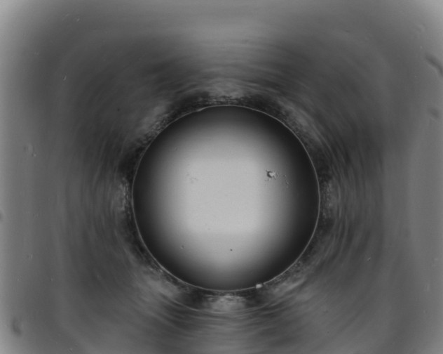 X0000096390463200801311325