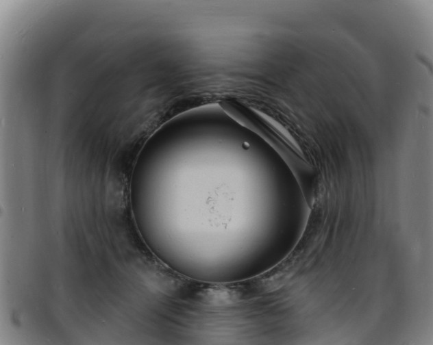 X0000096390464200801311325