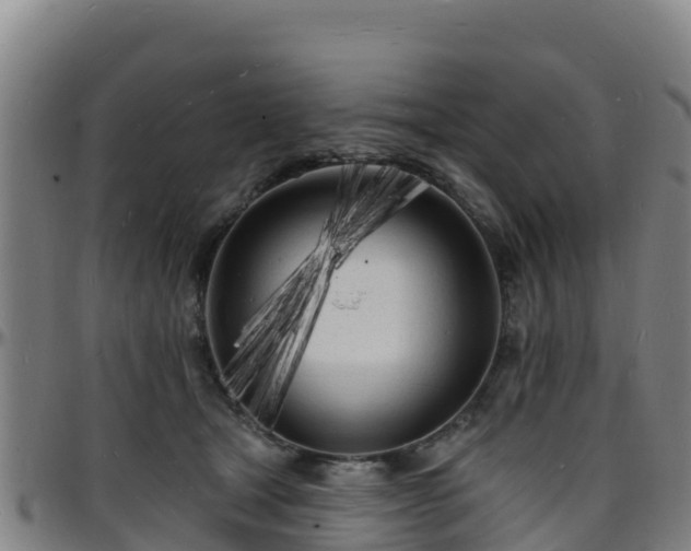 X0000096390465200801311325