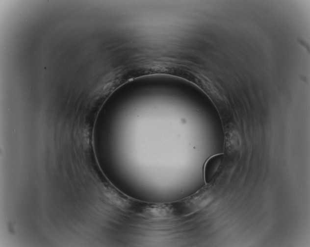 X0000096390466200801311325