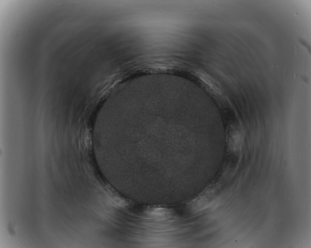 X0000096390467200801311325