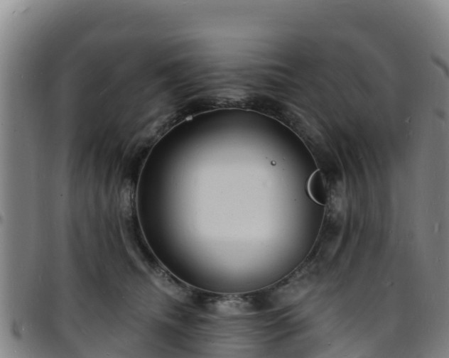 X0000096390468200801311325